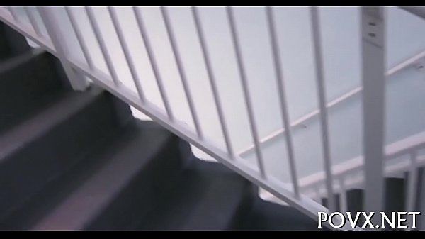 Preciosa Dixie Belle