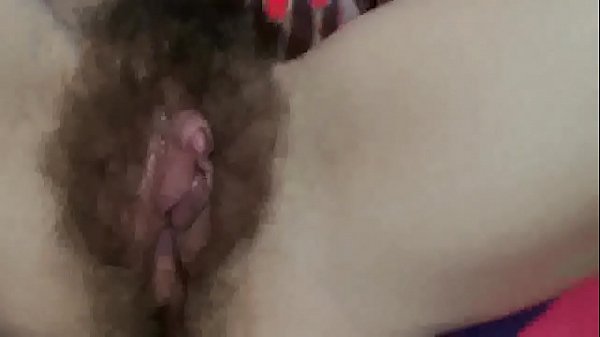 Hairy pussies compilation