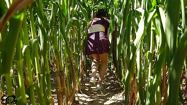 Horny BLOWJOB in a corn field