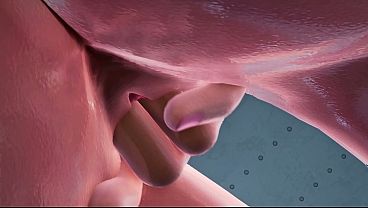 Code Valkyrie II, Fingern und Ficken im Schlafzimmer und im Bad